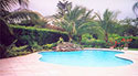 Regency Pool + Spa of Florida, Inc.