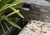 Regency Pool + Spa of Florida, Inc. > Gallery