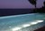 Regency Pool + Spa of Florida, Inc. > Gallery