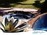 Regency Pool + Spa of Florida, Inc. > Gallery