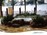 Regency Pool + Spa of Florida, Inc. > Gallery