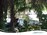 Regency Pool + Spa of Florida, Inc. > Gallery