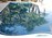 Regency Pool + Spa of Florida, Inc. > Gallery