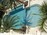 Regency Pool + Spa of Florida, Inc. > Gallery